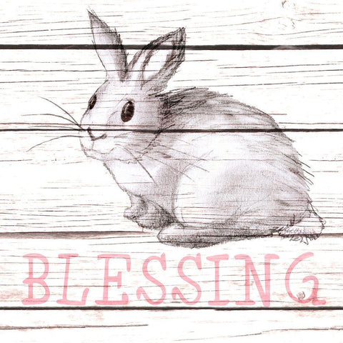 Rabbit Blessing Black Modern Wood Framed Art Print with Double Matting by Metz, Andi