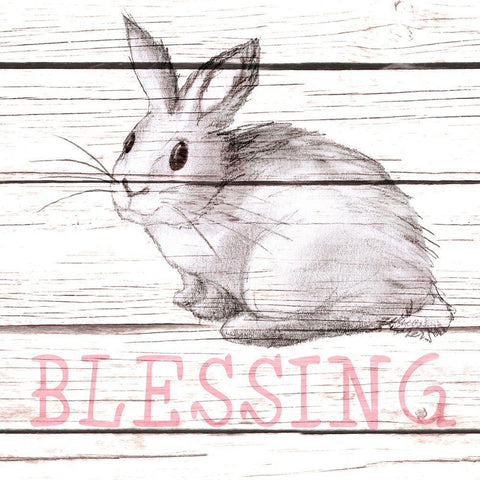 Rabbit Blessing White Modern Wood Framed Art Print with Double Matting by Metz, Andi