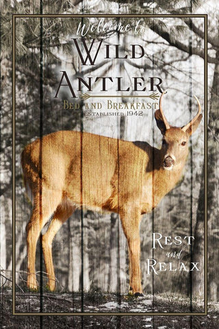 Wild Antler Black Ornate Wood Framed Art Print with Double Matting by Metz, Andi