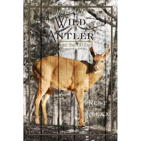 Wild Antler White Modern Wood Framed Art Print by Metz, Andi