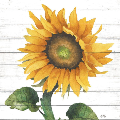 Happy Sunflower II White Modern Wood Framed Art Print with Double Matting by Medley, Elizabeth