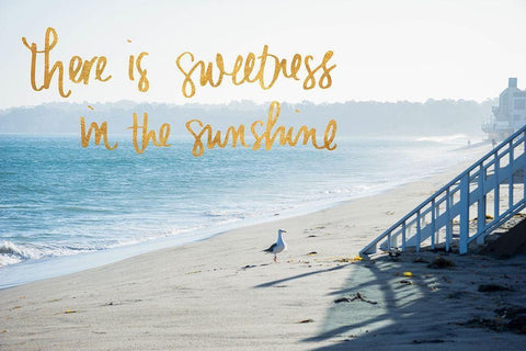 Sweetness in the Sunshine Black Ornate Wood Framed Art Print with Double Matting by Stewart, Wil