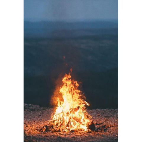 Bonfire Nights Gold Ornate Wood Framed Art Print with Double Matting by Stewart, Wil