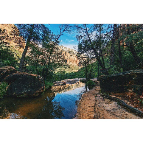 Summers Stream I Black Modern Wood Framed Art Print by Stewart, Wil