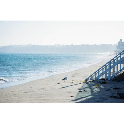 Beach Stroll Black Modern Wood Framed Art Print by Stewart, Wil
