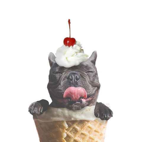 Ice Cream Dog Gold Ornate Wood Framed Art Print with Double Matting by SD Graphics Studio