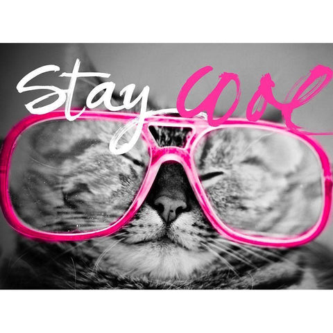 Stay Cool Cat Black Modern Wood Framed Art Print with Double Matting by SD Graphics Studio