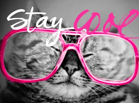 Stay Cool Cat Black Ornate Wood Framed Art Print with Double Matting by SD Graphics Studio