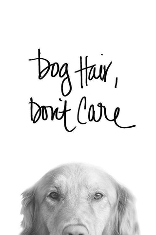 Dog Hair Dont Care White Modern Wood Framed Art Print with Double Matting by SD Graphics Studio
