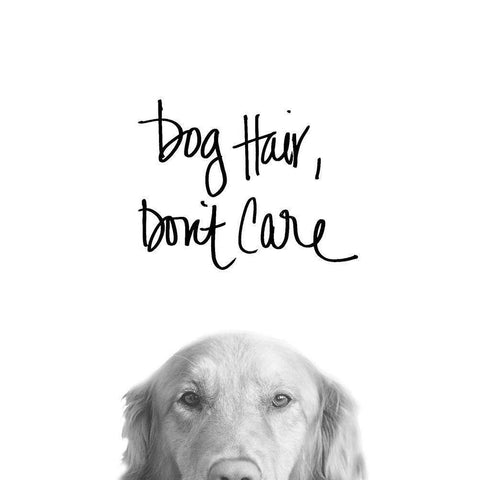 Dog Hair Dont Care Gold Ornate Wood Framed Art Print with Double Matting by SD Graphics Studio