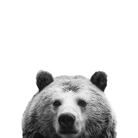 Furry Friend White Modern Wood Framed Art Print by SD Graphics Studio