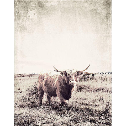 Vintage Highland Cattle Gold Ornate Wood Framed Art Print with Double Matting by SD Graphics Studio