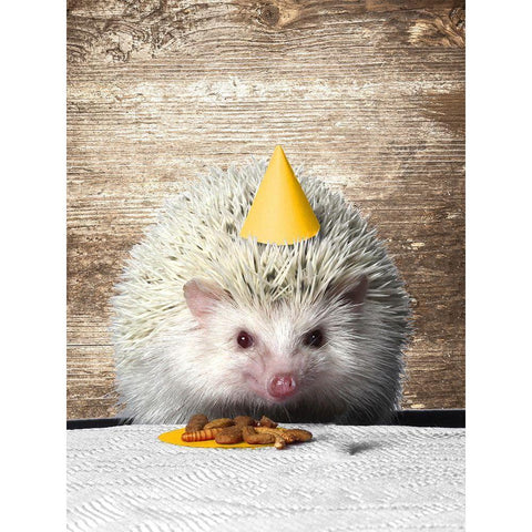 Hedgehog Party Gold Ornate Wood Framed Art Print with Double Matting by SD Graphics Studio