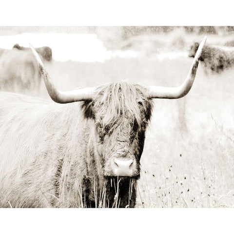 Sepia Bull Portrait Black Modern Wood Framed Art Print with Double Matting by SD Graphics Studio