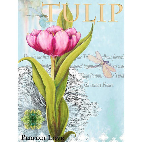 Elegant Tulip I Gold Ornate Wood Framed Art Print with Double Matting by Diannart