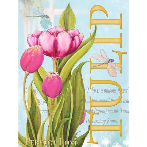 Elegant Tulip II Gold Ornate Wood Framed Art Print with Double Matting by Diannart