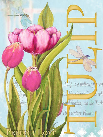 Elegant Tulip II Black Ornate Wood Framed Art Print with Double Matting by Diannart