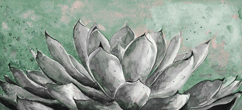 Gray Agave on Green Black Ornate Wood Framed Art Print with Double Matting by Pinto, Patricia