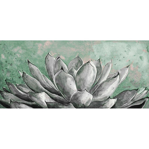 Gray Agave on Green Black Modern Wood Framed Art Print by Pinto, Patricia