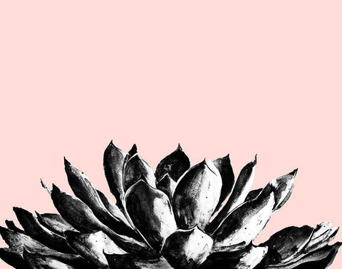 Agave on Blush White Modern Wood Framed Art Print with Double Matting by Pinto, Patricia
