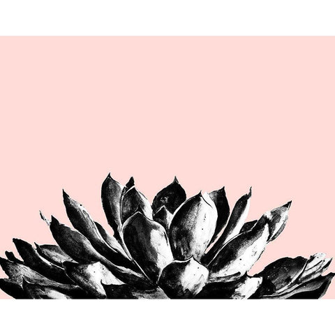 Agave on Blush Black Modern Wood Framed Art Print with Double Matting by Pinto, Patricia