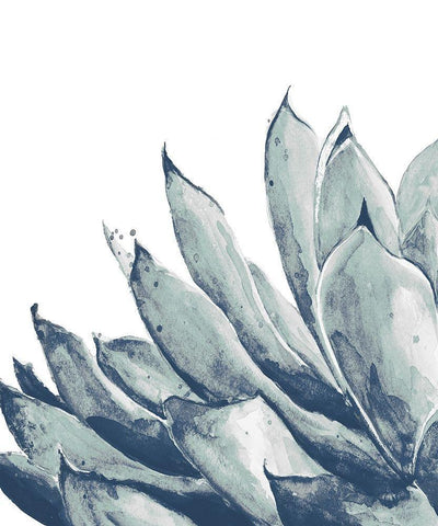 Blue Agave on White I Black Ornate Wood Framed Art Print with Double Matting by Pinto, Patricia