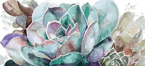 Desert Flower White Modern Wood Framed Art Print with Double Matting by Pinto, Patricia