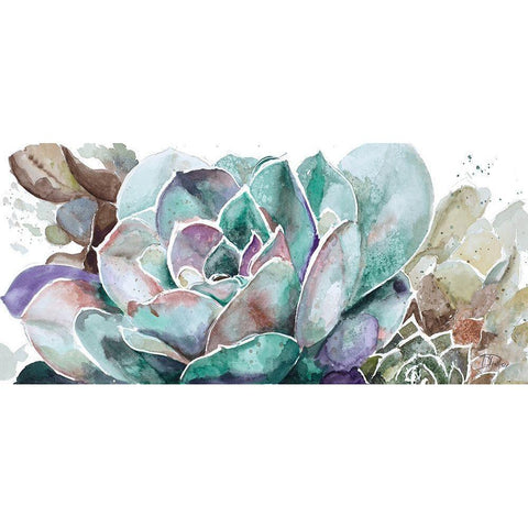 Desert Flower Black Modern Wood Framed Art Print by Pinto, Patricia