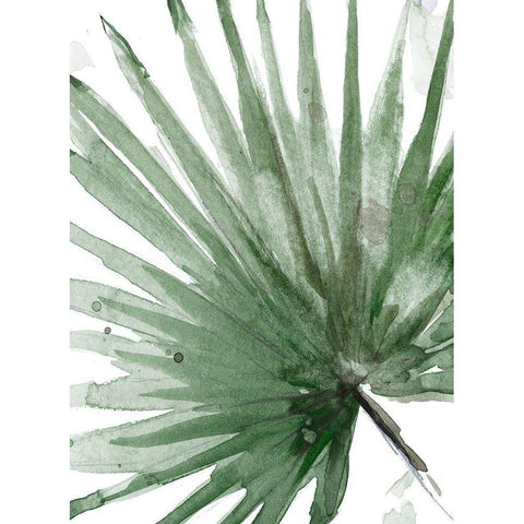 Palma Verde Close Up Black Modern Wood Framed Art Print by Pinto, Patricia