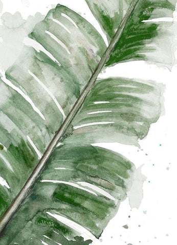 Palma Fresca Close Up White Modern Wood Framed Art Print with Double Matting by Pinto, Patricia