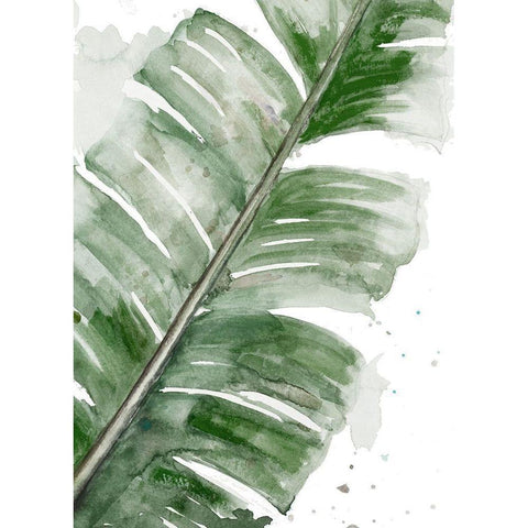 Palma Fresca Close Up Black Modern Wood Framed Art Print by Pinto, Patricia