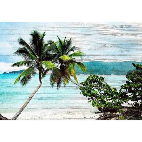 Hanging Palms on Wood Black Modern Wood Framed Art Print with Double Matting by Mansfield, Kathy