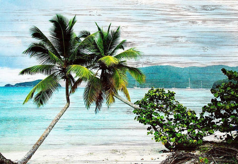 Hanging Palms on Wood Black Ornate Wood Framed Art Print with Double Matting by Mansfield, Kathy