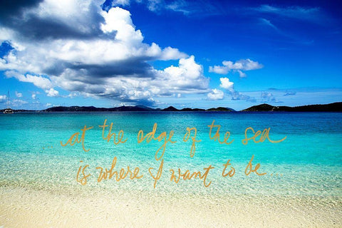 At the Edge of the Sea Black Ornate Wood Framed Art Print with Double Matting by Mansfield, Kathy