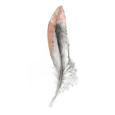 Soft Feather I Black Modern Wood Framed Art Print with Double Matting by Diannart