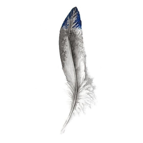 Royal Blue Tip Feather I Black Modern Wood Framed Art Print by Diannart