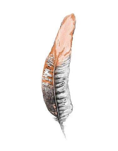 Soft Feather II Black Ornate Wood Framed Art Print with Double Matting by Diannart