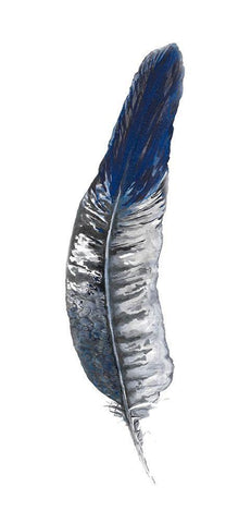 Royal Blue Tip Feather II White Modern Wood Framed Art Print with Double Matting by Diannart