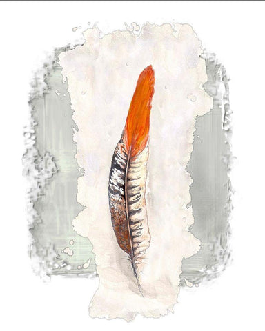 Simple Feather II White Modern Wood Framed Art Print with Double Matting by Diannart