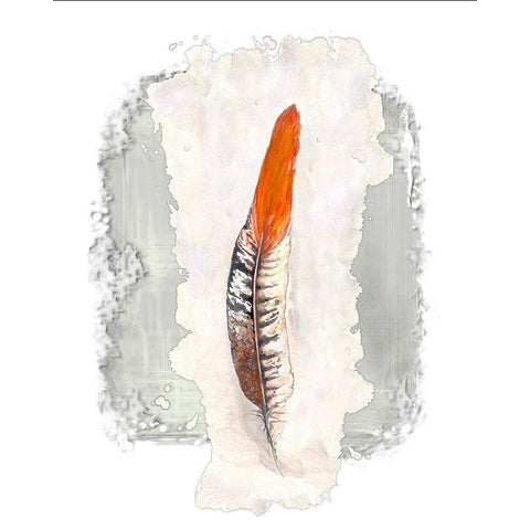 Simple Feather II Gold Ornate Wood Framed Art Print with Double Matting by Diannart