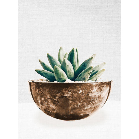 Succulent in Gold Pot II White Modern Wood Framed Art Print by SD Graphics Studio