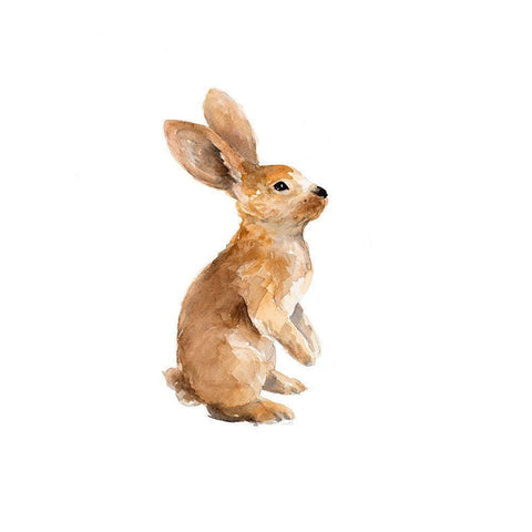 Meadow Buddy I Black Modern Wood Framed Art Print with Double Matting by Loreth, Lanie