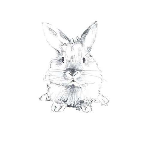 Sketched Rabbit V Black Modern Wood Framed Art Print with Double Matting by Loreth, Lanie