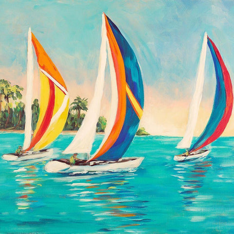Sunset Sails I Black Ornate Wood Framed Art Print with Double Matting by DeRice, Julie