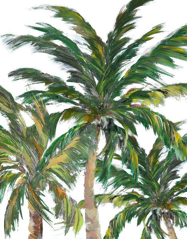 Tropical Trees on White III White Modern Wood Framed Art Print with Double Matting by DeRice, Julie