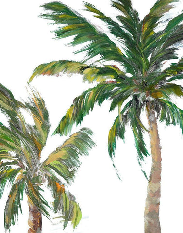 Tropical Trees on White II Black Ornate Wood Framed Art Print with Double Matting by DeRice, Julie