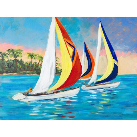 Morning Sails II Black Modern Wood Framed Art Print with Double Matting by DeRice, Julie