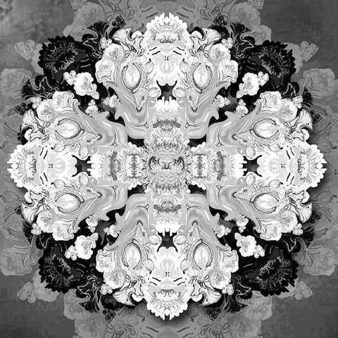Decrative Kaleidoscope I Black Modern Wood Framed Art Print by Diannart