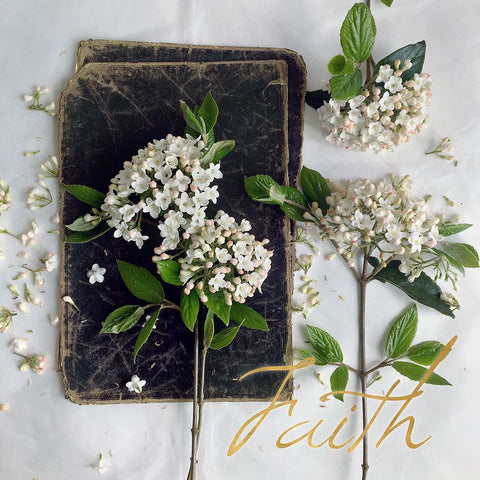 Faith Blooms Black Ornate Wood Framed Art Print with Double Matting by Gardner, sarah