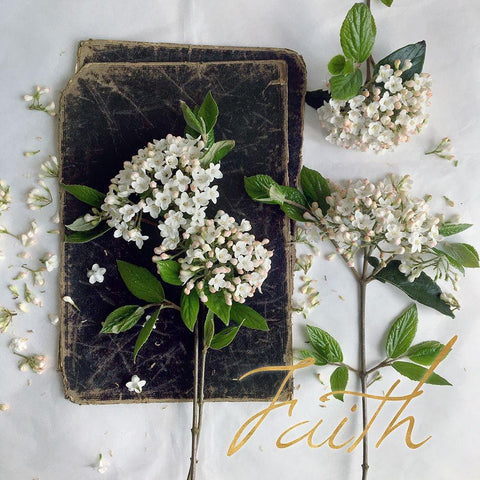 Faith Blooms Black Modern Wood Framed Art Print by Gardner, sarah